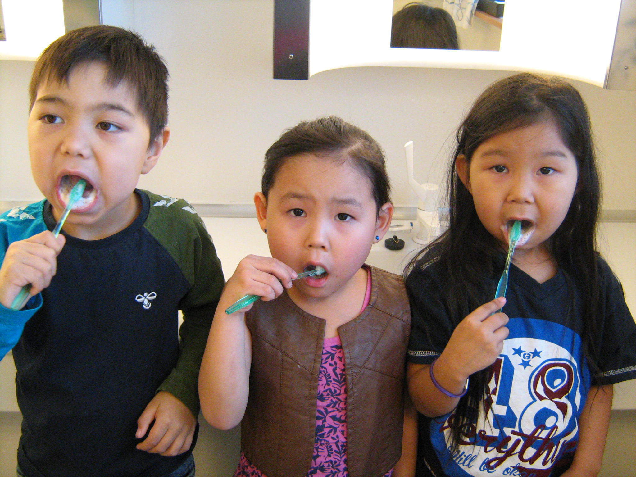 Tadbørstedag 2017 065