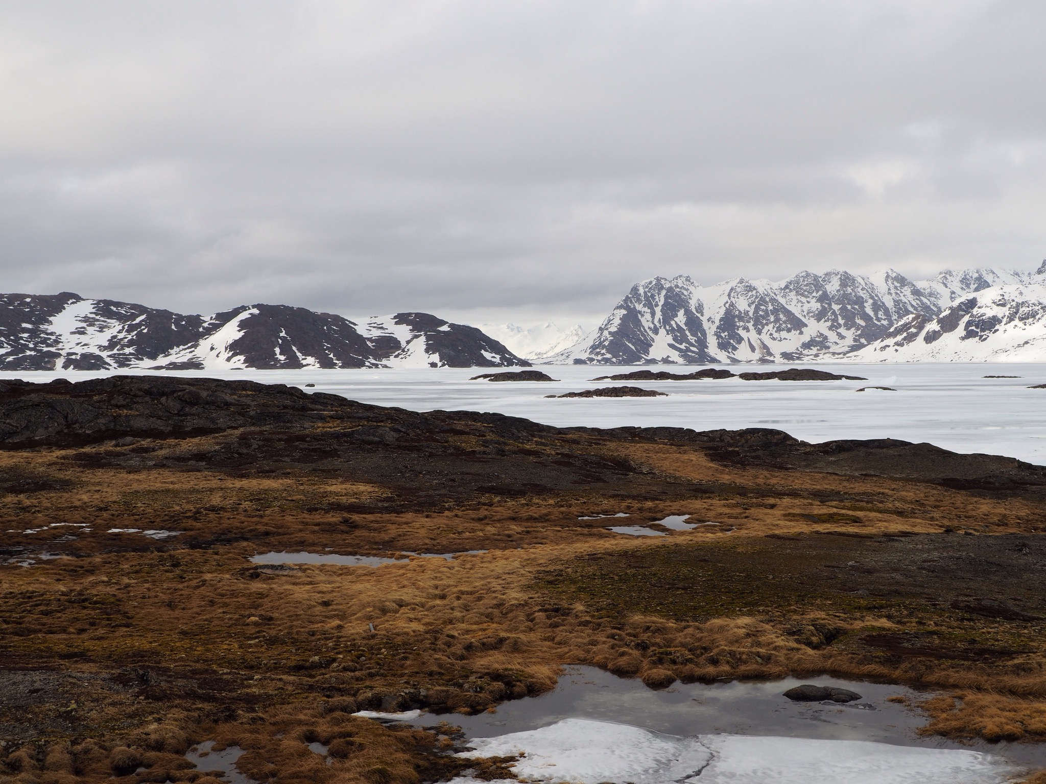 01Bdebe62a9e7105de6a81747d5fc01dcb1d8e0b62