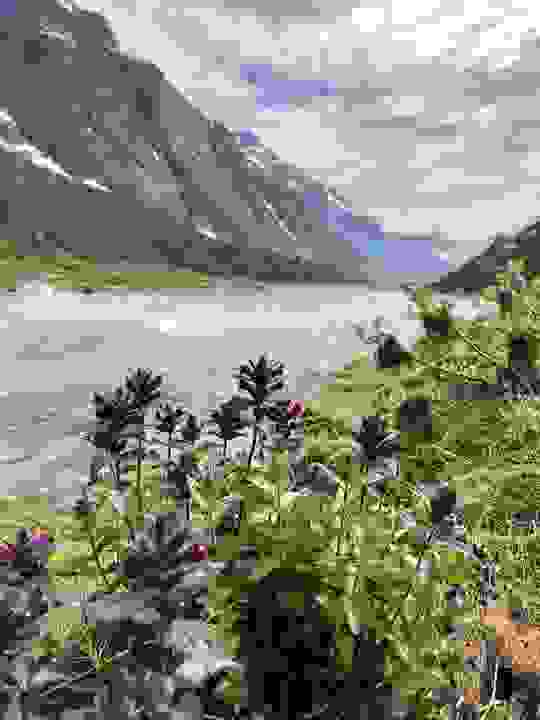 Elven I Kanikitsoq